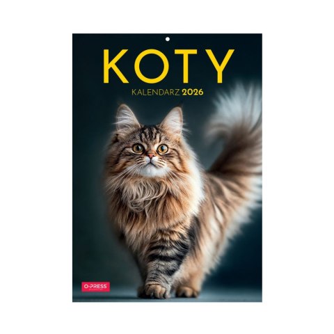Kalendarz ścienny A4 KOTY A4 Press (5904830713381)