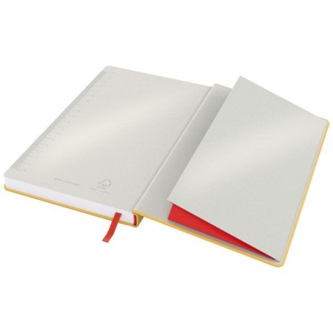Notes (notatnik) Cosy A5 80k. krata Leitz (44540019)