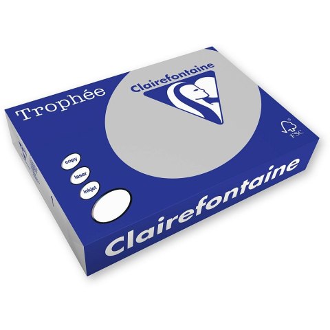 Papier kolorowy kolorowy A4 patelowy szary 250k. 160g Trophee (xca41009)