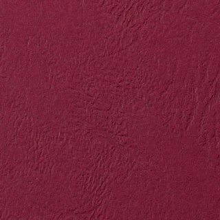 Karton do bindowania delta A4 czerwony 250g Argo (407041)