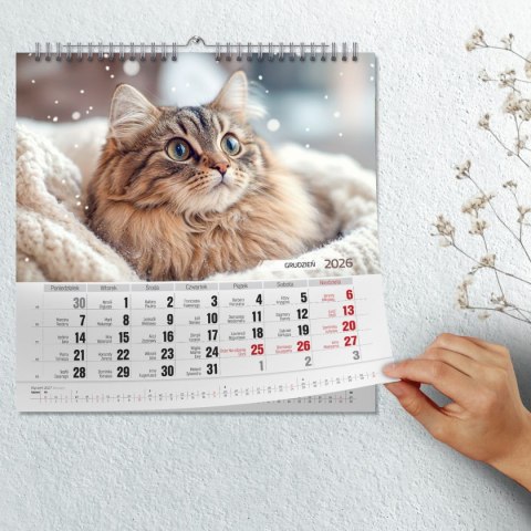 Kalendarz ścienny KOTY 33x33 330mm x 330mm Press