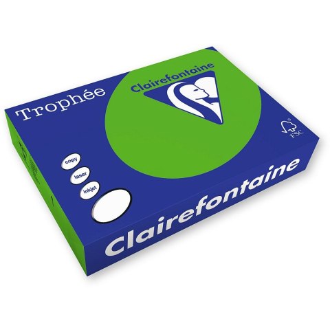Papier kolorowy kolorowy A4 miętowy 250k. 80g Trophee (xca41875)