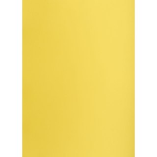 Brystol żółty B1 żółty 225g 1k Creatinio (400150264)