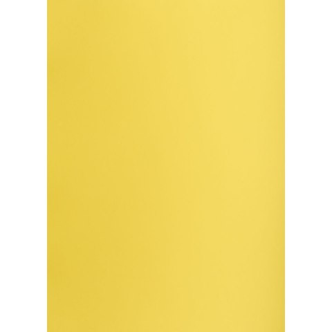 Brystol żółty B1 żółty 225g 1k Creatinio (400150264)