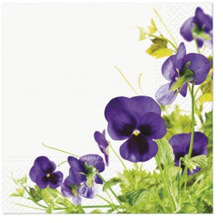 Serwetki Tete Pansies Frame mix nadruk bibuła [mm:] 330x330 Paw (TL121900)