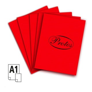 Brystol A1 czerwony 160-180g 20k [mm:] 610x860 Protos
