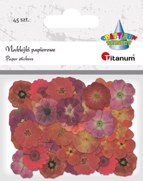 Naklejka (nalepka) Craft-Fun Series Naklejki papierowe Titanum (24XQ0501-13)
