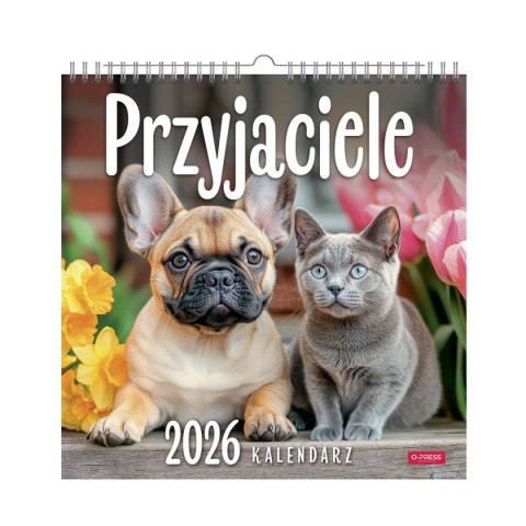 Kalendarz ścienny Przyjaciele 33x33 330mm x 330mm Press