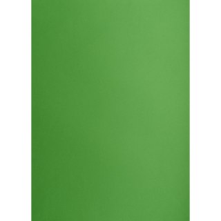 Brystol A3 zielony 160g 25k [mm:] 297x420 TOP-2000 (400150241)