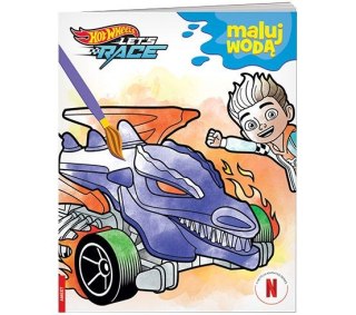 Książka dla dzieci Disney Maluch MALUJ WODĄ Ameet (MW 1601)