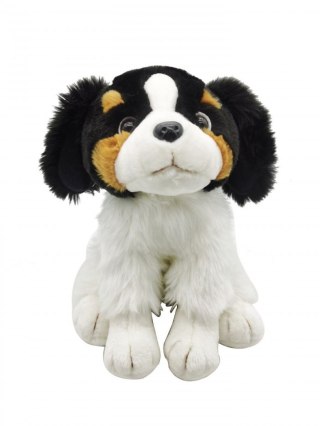 Pluszak pies siedzący Smily Play (SP84395)