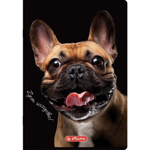 Zeszyt Crazy Animal A5 80k. 70g krata Herlitz (400196839)