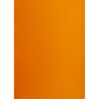 Brystol A1 pomarańczowy 160g 25k [mm:] 610x860 TOP-2000 (400149550)