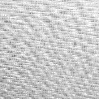 Papier ozdobny (wizytówkowy) A4 biały 246g Protos