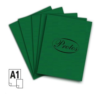 Brystol A1 zielony ciemny 160-180g 20k [mm:] 610x860 Protos