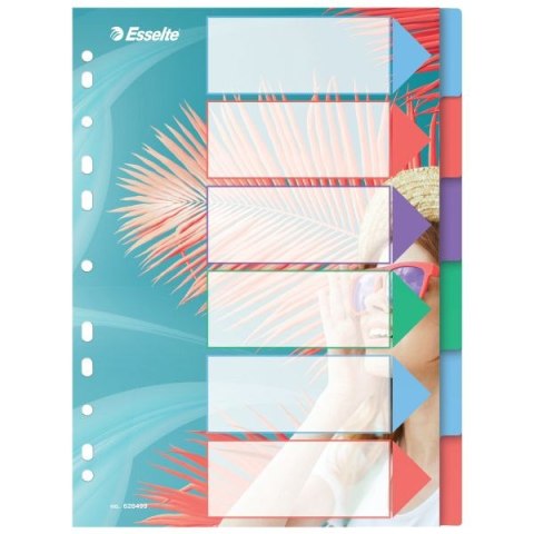 Przekładka czysta Colour Breeze A4 mix 6k Esselte (628499)