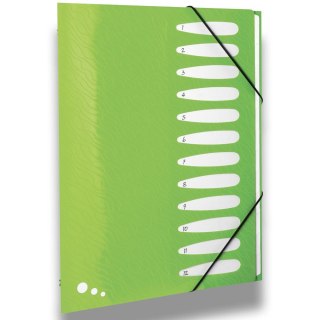 Teczka z przegródkami Art Pop A4 kolor: mix 12 przegródek Elba (400058483)