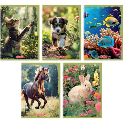 Zeszyt Animals A5 16k. 70g gładki Herlitz (400196854)