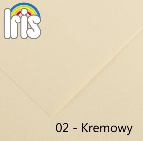 Brystol Iris 02 B1 kremowy 240g 25k [mm:] 700x1000 Canson (200040441)