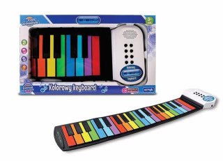 Organy keyboard kolorowy miękki Artyk (169755)