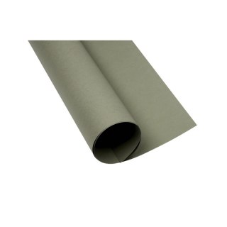 Brystol A2 ciemnoszary 160g 25k [mm:] 430x610 TOP-2000 (400150170)