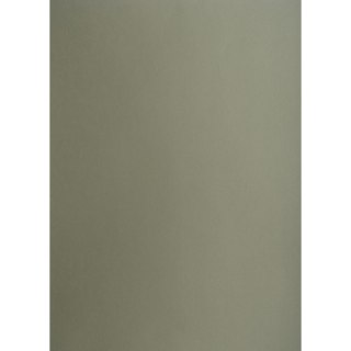 Brystol A2 ciemnoszary 160g 25k [mm:] 430x610 TOP-2000 (400150170)