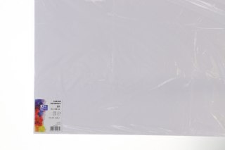 Brystol biały B1 biały 300g 25k Creatinio (400173614)