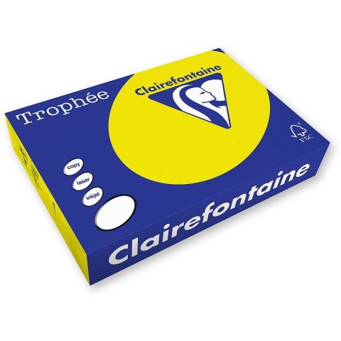 Papier kolorowy kolorowy A4 słoneczny 250k. 160g Trophee (xca41029)