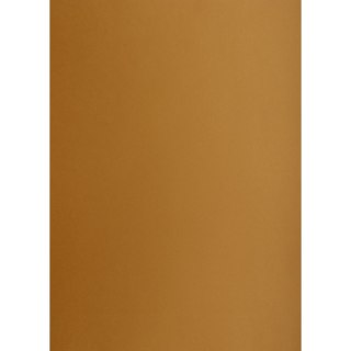 Brystol brązowy B2 brązowy 225g 25k Creatinio (400150328)
