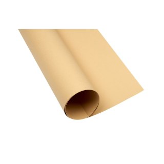 Brystol A1 jasnobrązowy 160g 25k [mm:] 610x860 TOP-2000 (400149527)