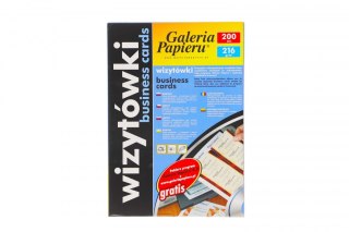 Papier ozdobny (wizytówkowy) Unia A4 Galeria Papieru