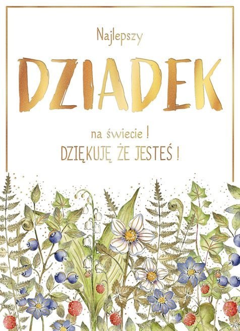 Kartka składana Karnet B6 BiDZ LAS DZIADEK B6 Henry (5905701487592)