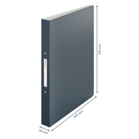 Segregator ringowy Cosy A4 32mm szary Leitz (42380089)