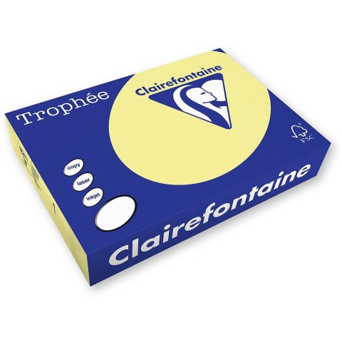Papier kolorowy kolorowy A4 kanarkowy 500k. 80g Trophee (xca41977)