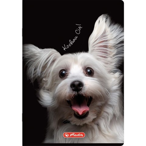 Zeszyt Crazy Animal A5 60k. 70g linia Herlitz (400196838)