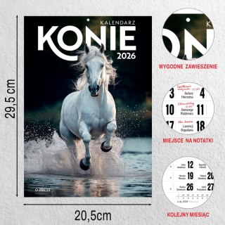 Kalendarz ścienny A4 KONIE A4 Press (5904830713398)