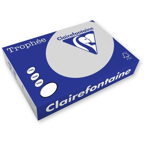 Papier kolorowy A4 szary 250k. 160g Trophee (xca41041)