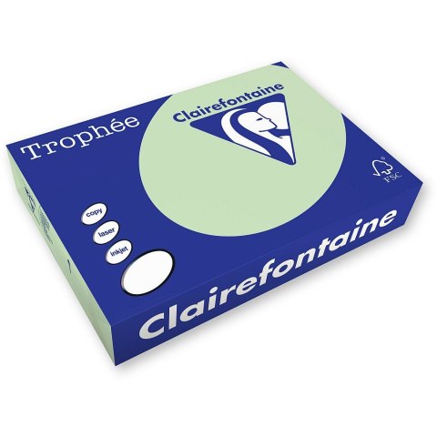 Papier kolorowy kolorowy A4 zielony 500k. 80g Trophee (xca41975)
