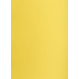 Brystol kanarkowy A2 żółty 160g 25k [mm:] 430x610 TOP-2000 (400150179)