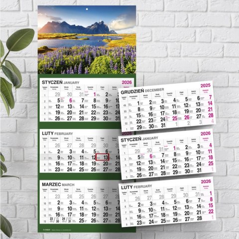 Kalendarz ścienny GÓRY 310mm x 790mm Press