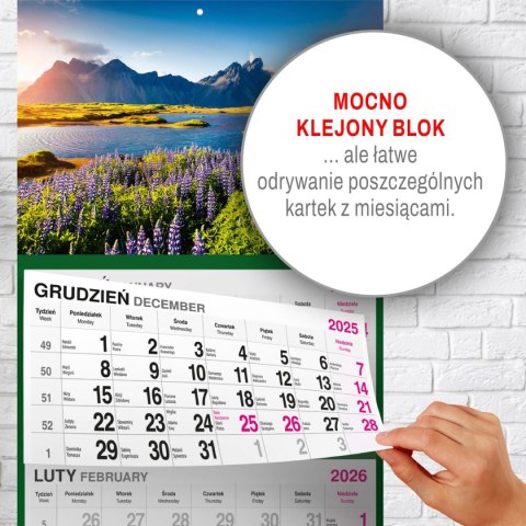 Kalendarz ścienny GÓRY 310mm x 790mm Press