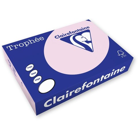Papier kolorowy kolorowy A4 różowy 250k. 160g Trophee (xca41017)
