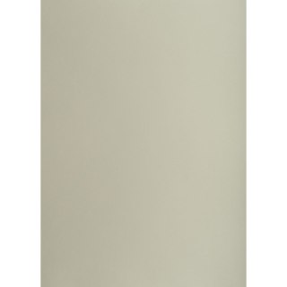 Brystol A1 szary 160g 25k [mm:] 610x860 TOP-2000 (400149523)