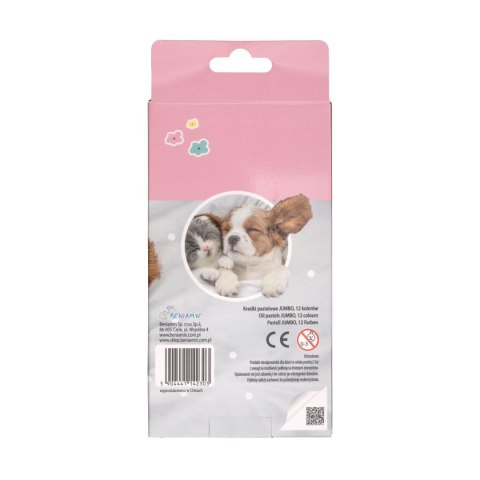 Pastele olejne The Sweet Pets 12 kol. Rexus