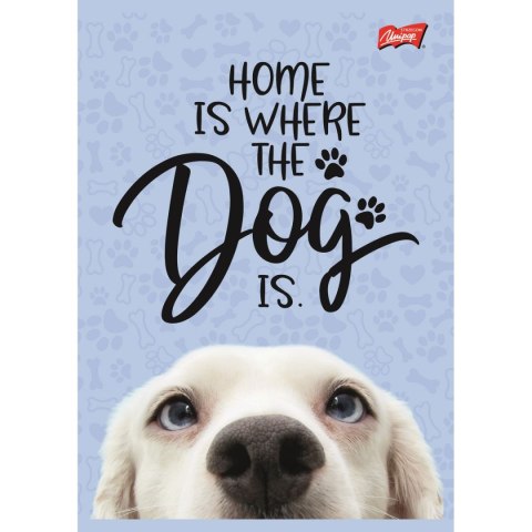 Zeszyt dog A5 16k. krata Unipap