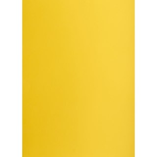 Brystol żółty ciemny B2 żółty Creatinio (400150326)