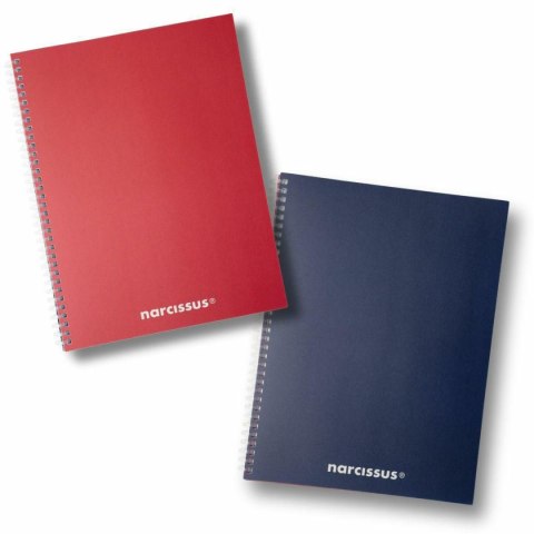 Notes (notatnik) Swing Mono A4 80k. krata Narcissus