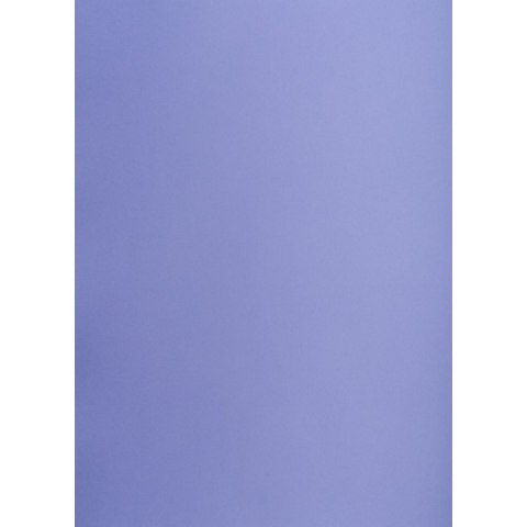 Brystol A3 purpurowy 160g 25k [mm:] 297x420 Creatinio (400150245)
