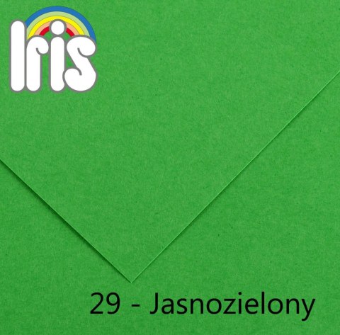 Brystol Iris 29 B1 zielony jasny 240g 25k [mm:] 700x1000 Canson (200040468)