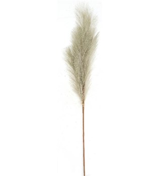 Kwiaty Trawa pampasowa 77cm naturalna Home And Garden (9925)